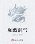 伽蓝武器属性