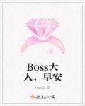 boss大人你欠揍免费阅读
