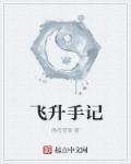 飞升小游戏