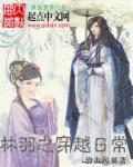 主角林羽的书叫什么名