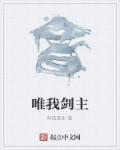 唯剑作伴作者