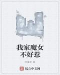 我家魔族不该这么神圣 艾兮焉