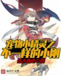 宠物小精灵大全