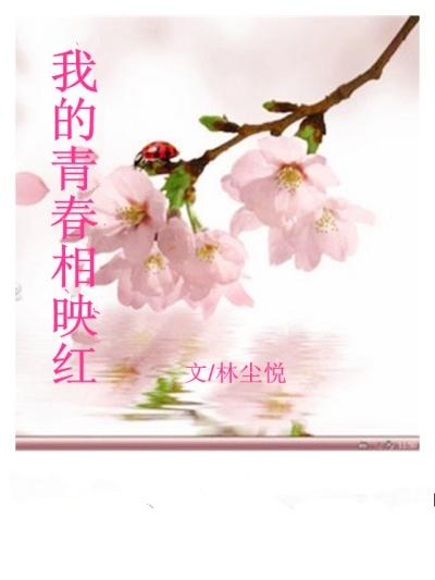 我的青春像杜鹃