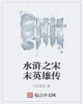 水浒说岳英雄传