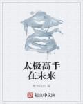 太极高手的意思