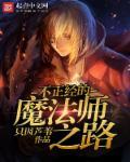不正经的魔法师 好像是这个