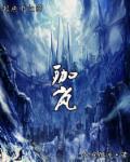 珈岚院属于什么档次