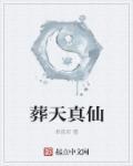 葬仙葬神葬着一位少年