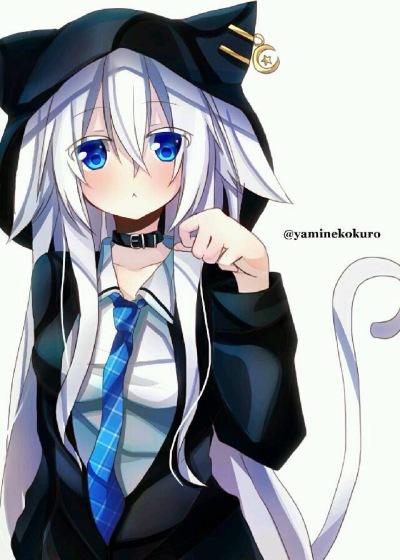 猫娘的