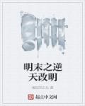 明末逆天三十年611