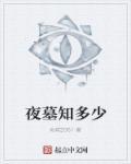 夜访古墓免费