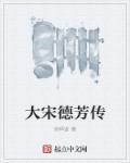 大宋德宗是谁的年号