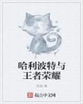 哈利波特相关的游戏