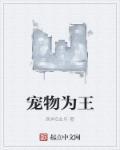 宠物天王免费阅读无弹窗