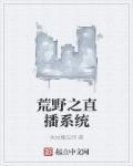 荒野直播之融合系统