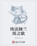 埃雷修斯之眼