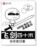 飞剑样式