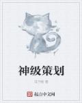 王者b神策划