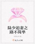 陆少追妻花样多免费读全文