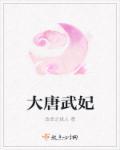 大唐武王gltxt