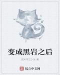 黑岩的全部有哪些