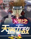 火影之天道图书馆(青椒)