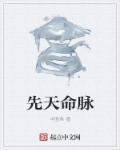 什么是先天命数