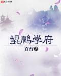 鲲鹏教育集团怎么样