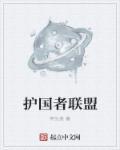 护国之翼