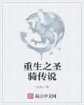 圣骑士的