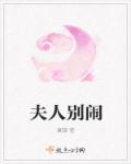 夫人别闹了全集