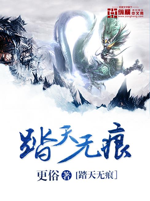 踏天无痕 好看吗