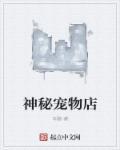 宠物店的小秘密图纸
