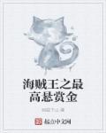 海贼王之最高悬赏金听书