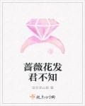 亿万总裁回家探亲视频