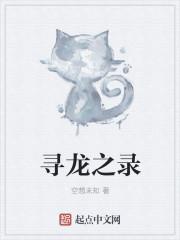 寻龙记官网
