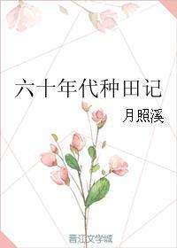 六零年种田记