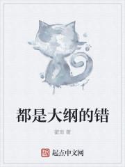 大纲到底是什么