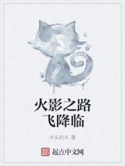 火影之路人100第八区
