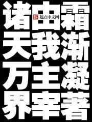 诸天之主宰万界
