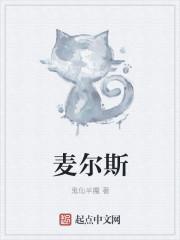 迈尔斯骑士黑啤酒怎么样