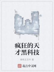 疯狂天才2017解析