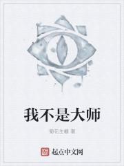 我不是大师内容