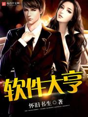 重生2009成为互联网大佬