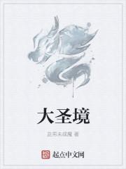 大圣境百度