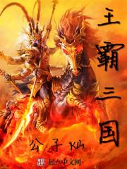 三国霸王4