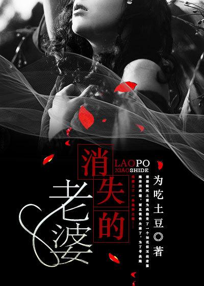 消失的老婆1-100集