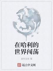 进入哈利波特的世界