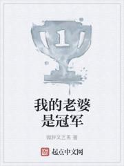 我的老婆是状师国语在线观看